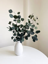 ANTONELLA » Mazzo di Eucalipto Populus stabilizzato verde - Bloomoon