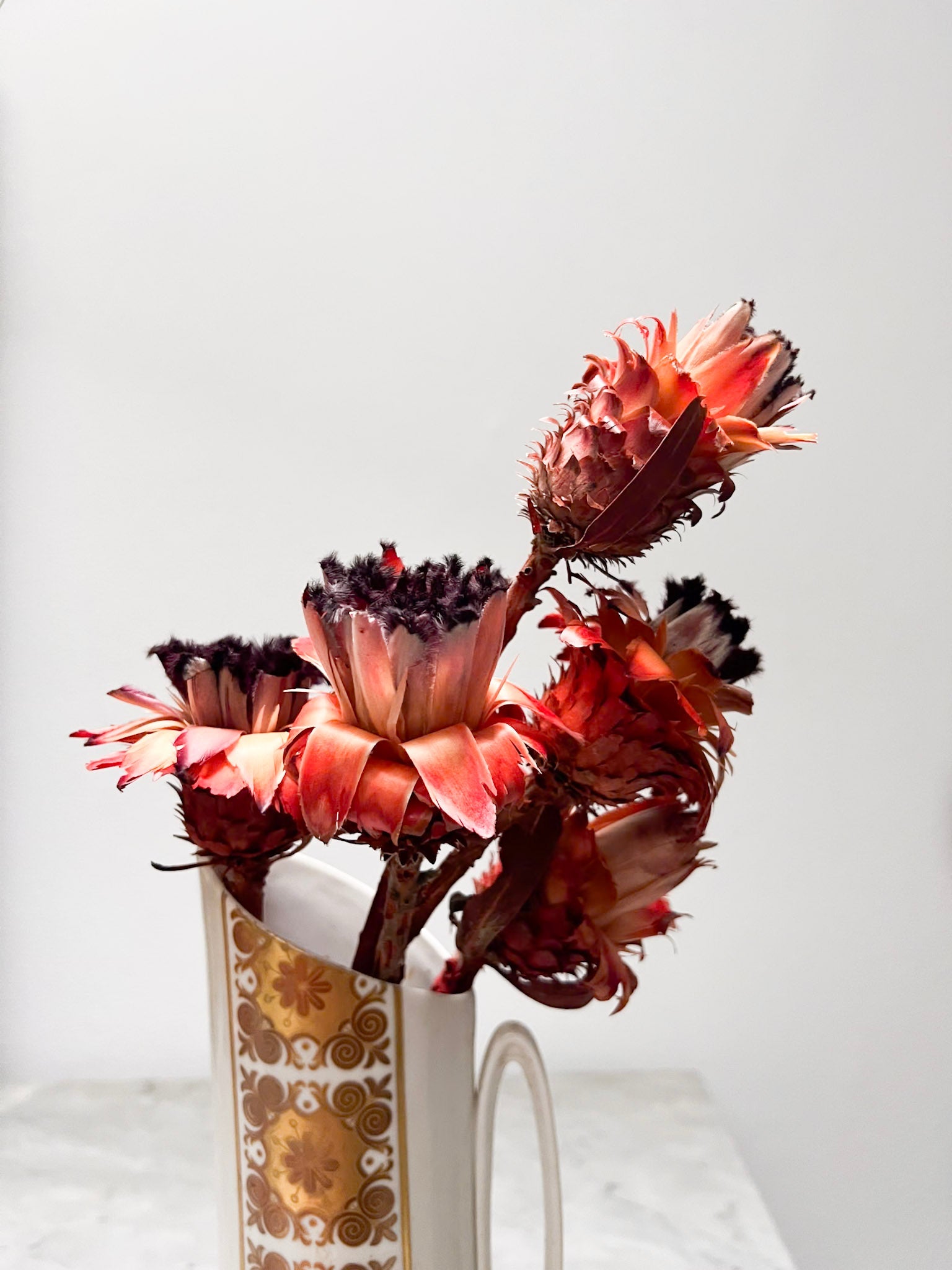 ANTONIO » Mazzo di Protee Nerifolia rossa - Bloomoon