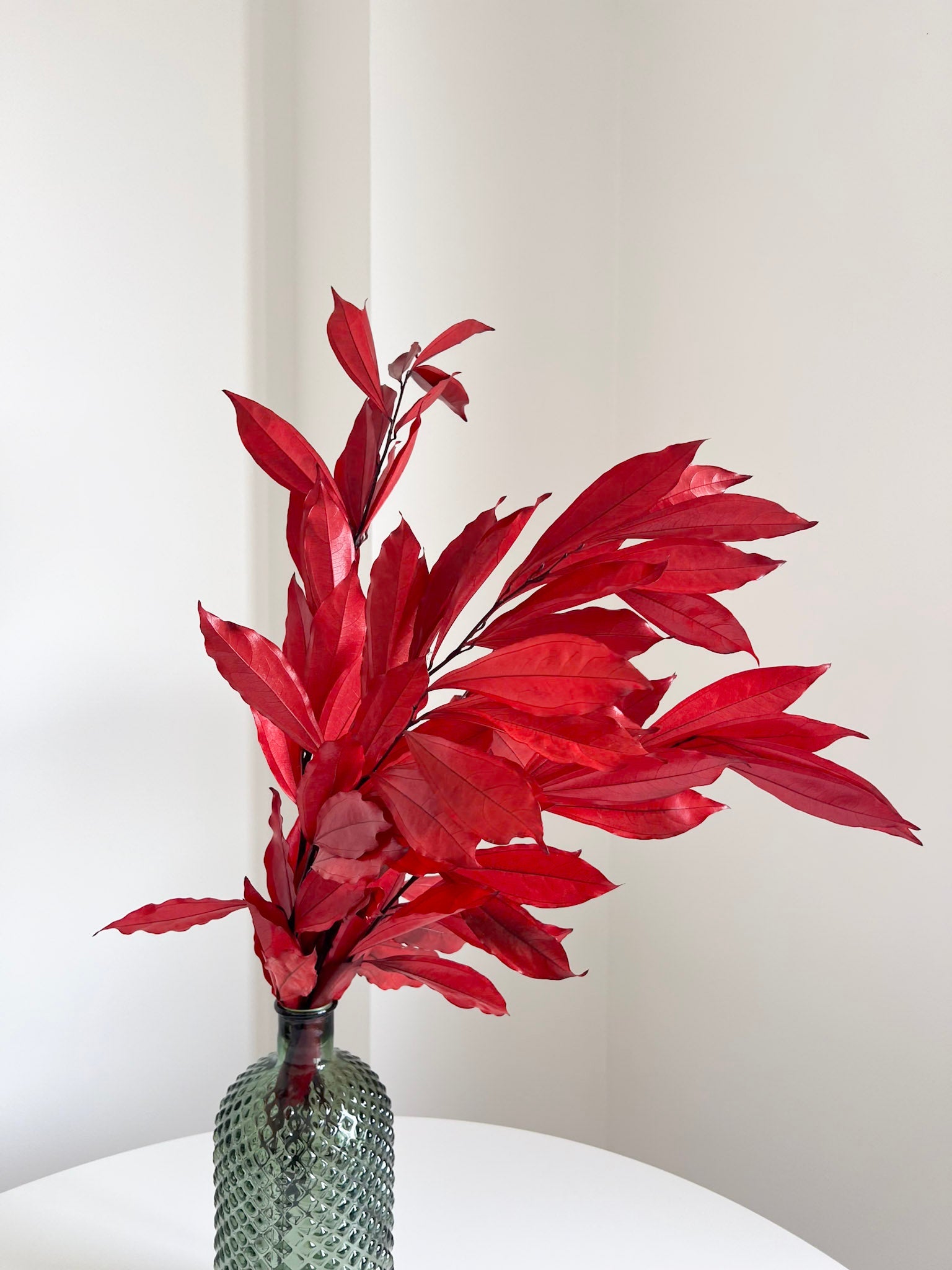 APACHE » Cocculus stabilizzato rosso H70cm - Bloomoon