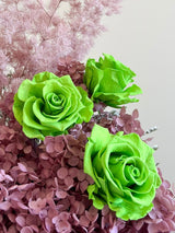 ARIELE » Box da 6 fiori di Rosa verde diametro 6,5cm standard - Bloomoon