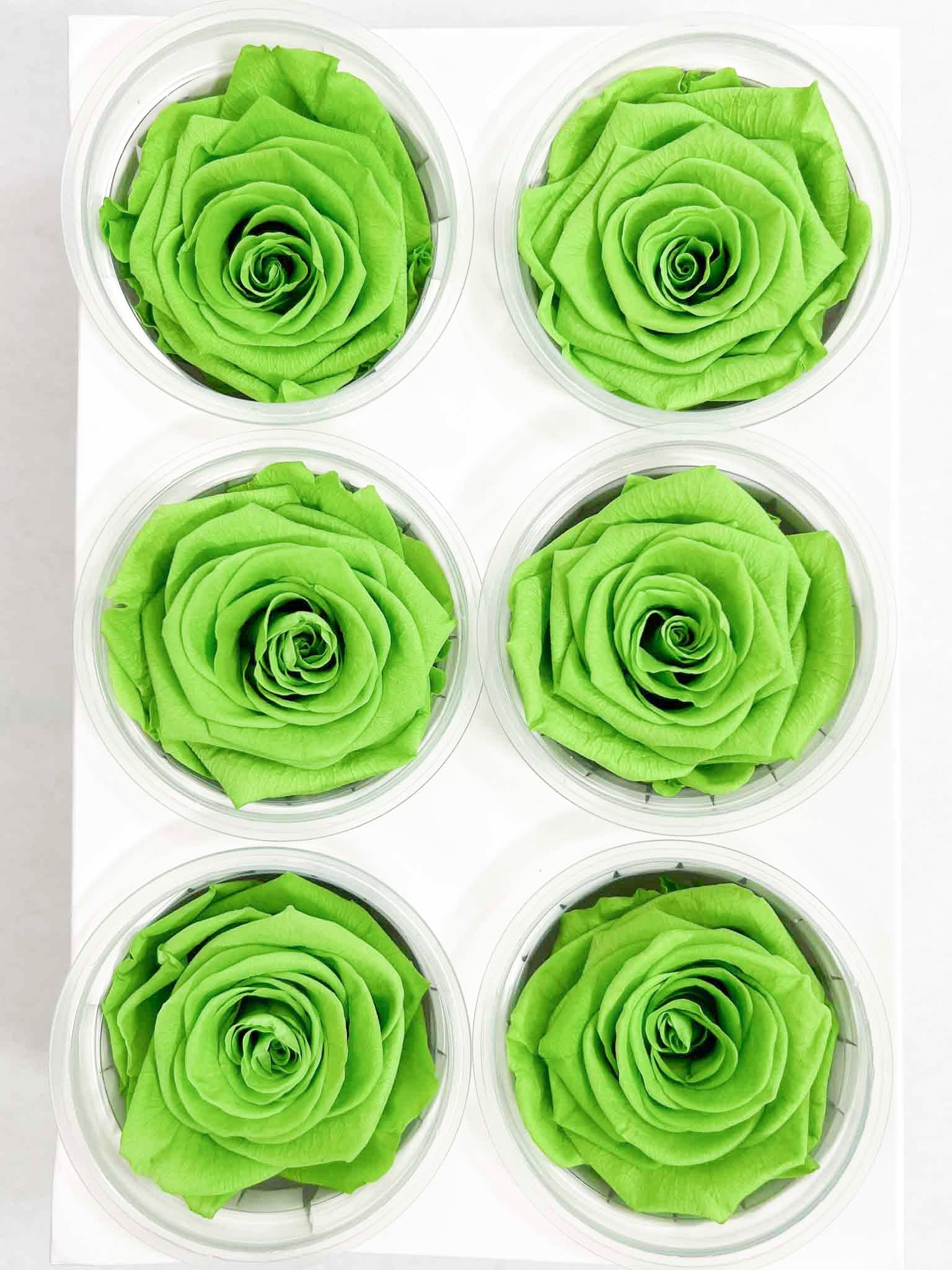 ARIELE » Box da 6 fiori di Rosa verde diametro 6,5cm standard - Bloomoon