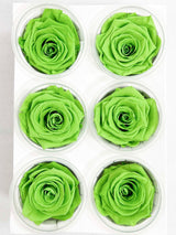 ARIELE » Box da 6 fiori di Rosa verde diametro 6,5cm standard - Bloomoon