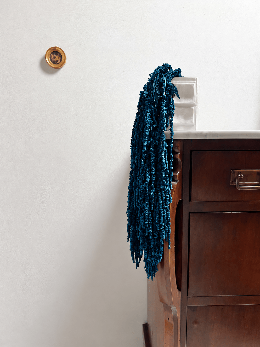ATLANTICO » Amaranthus ricadente stabilizzato blu - Bloomoon