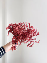 ATTIX » Fascio di bacche rosa scuro naturali essiccate - Bloomoon