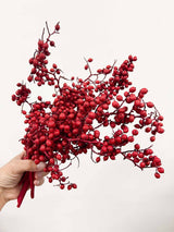 AURA » Fascio di bacche rosse naturali essiccate - Bloomoon