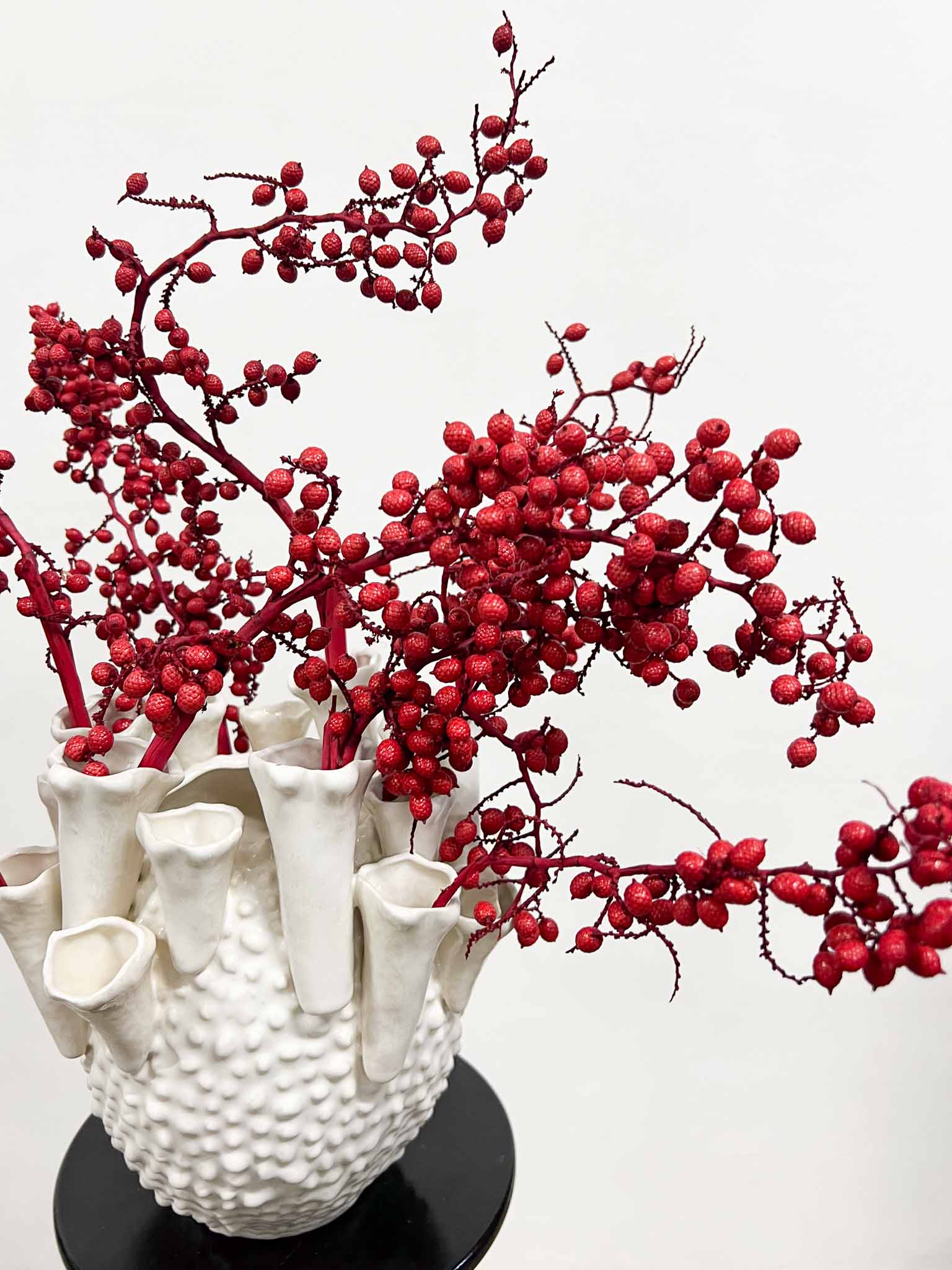AURA » Fascio di bacche rosse naturali essiccate - Bloomoon