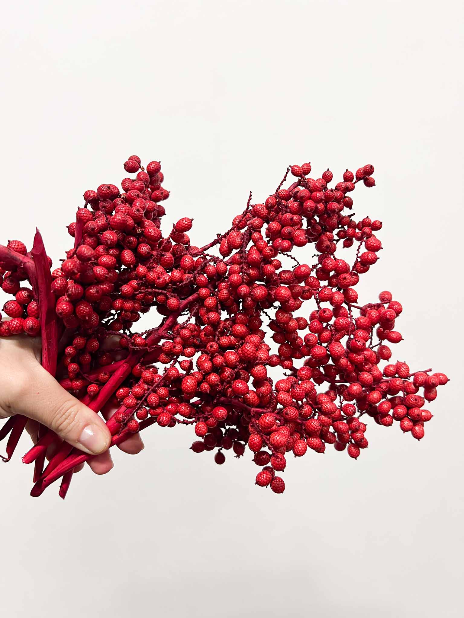 AURA » Fascio di bacche rosse naturali essiccate - Bloomoon