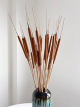 AURELIANO » mazzo di Typha naturale essiccata 90 cm - Bloomoon