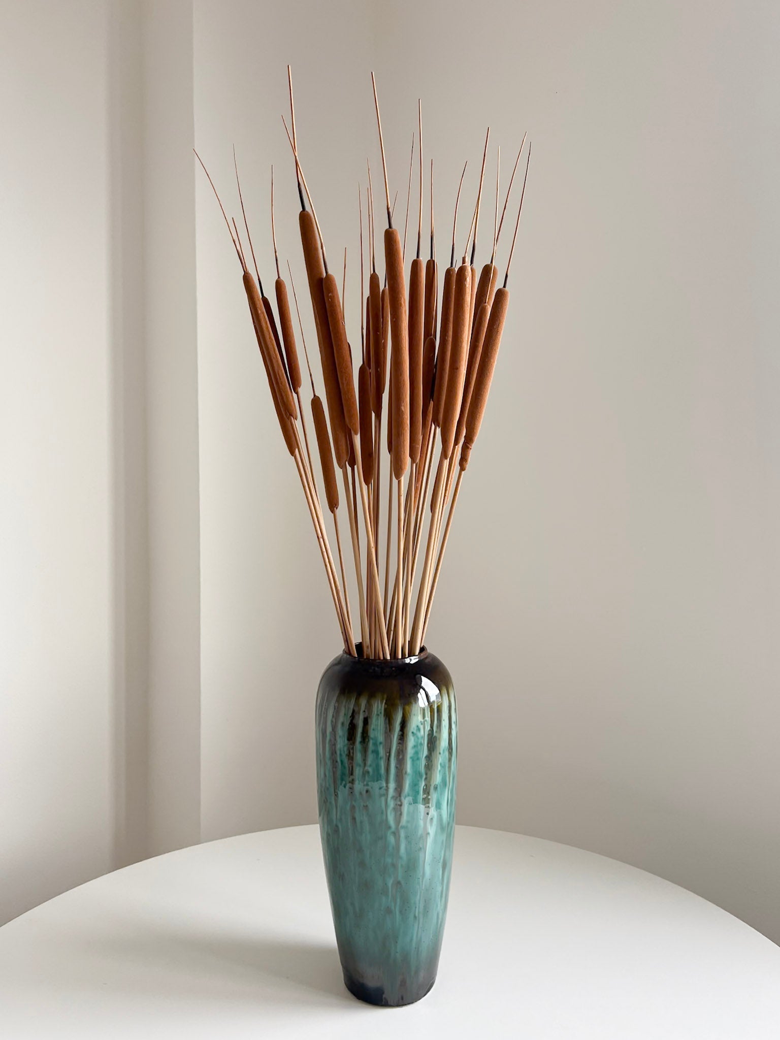 AURELIANO » mazzo di Typha naturale essiccata 90 cm - Bloomoon