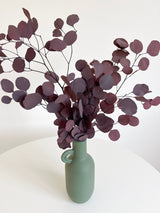 BARBARA » Mazzo di Eucalipto Populus stabilizzato rosso - Bloomoon