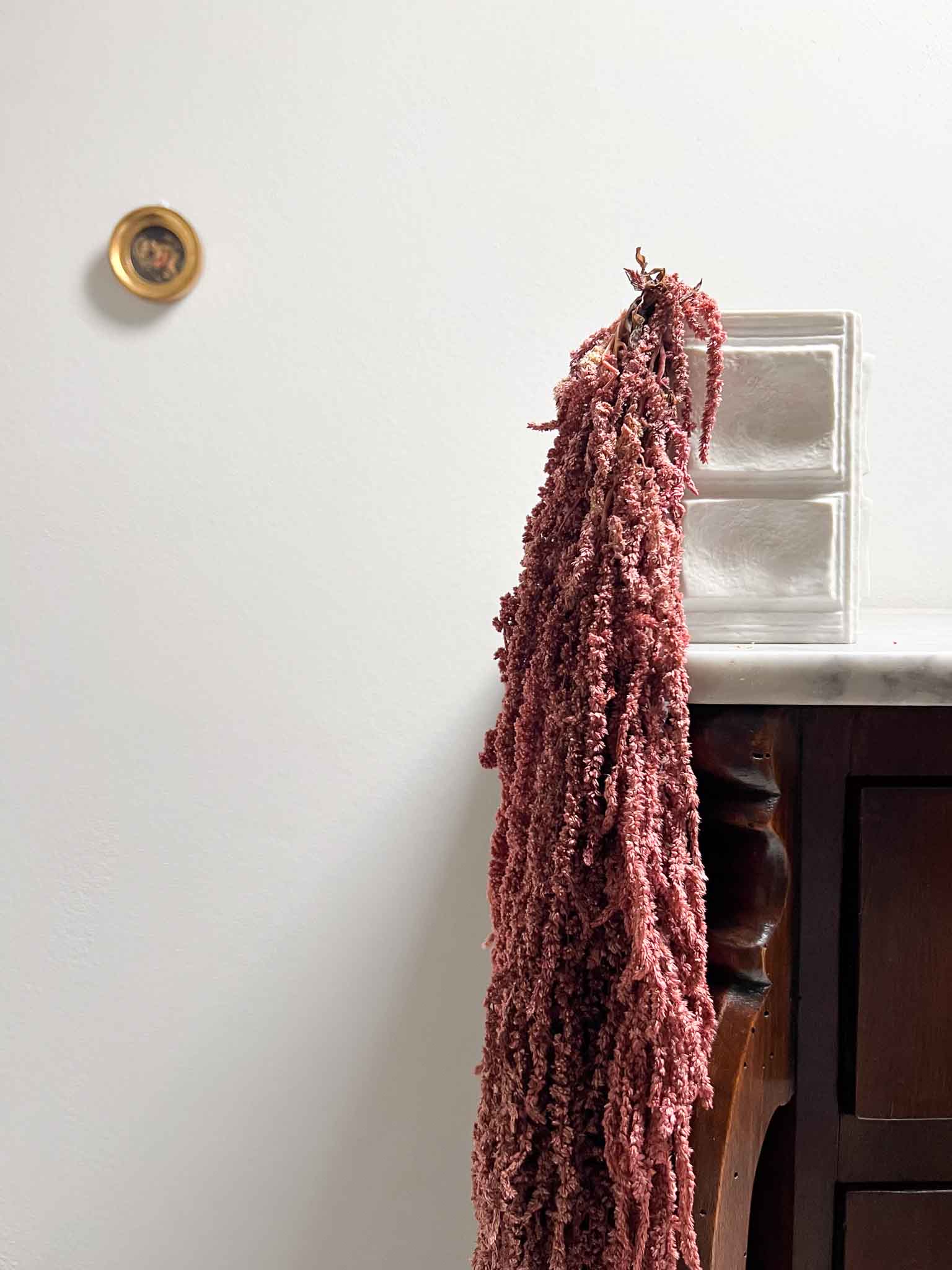 BICE » Amaranthus ricadente stabilizzato rosa antico - Bloomoon