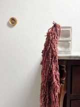 BICE » Amaranthus ricadente stabilizzato rosa antico - Bloomoon