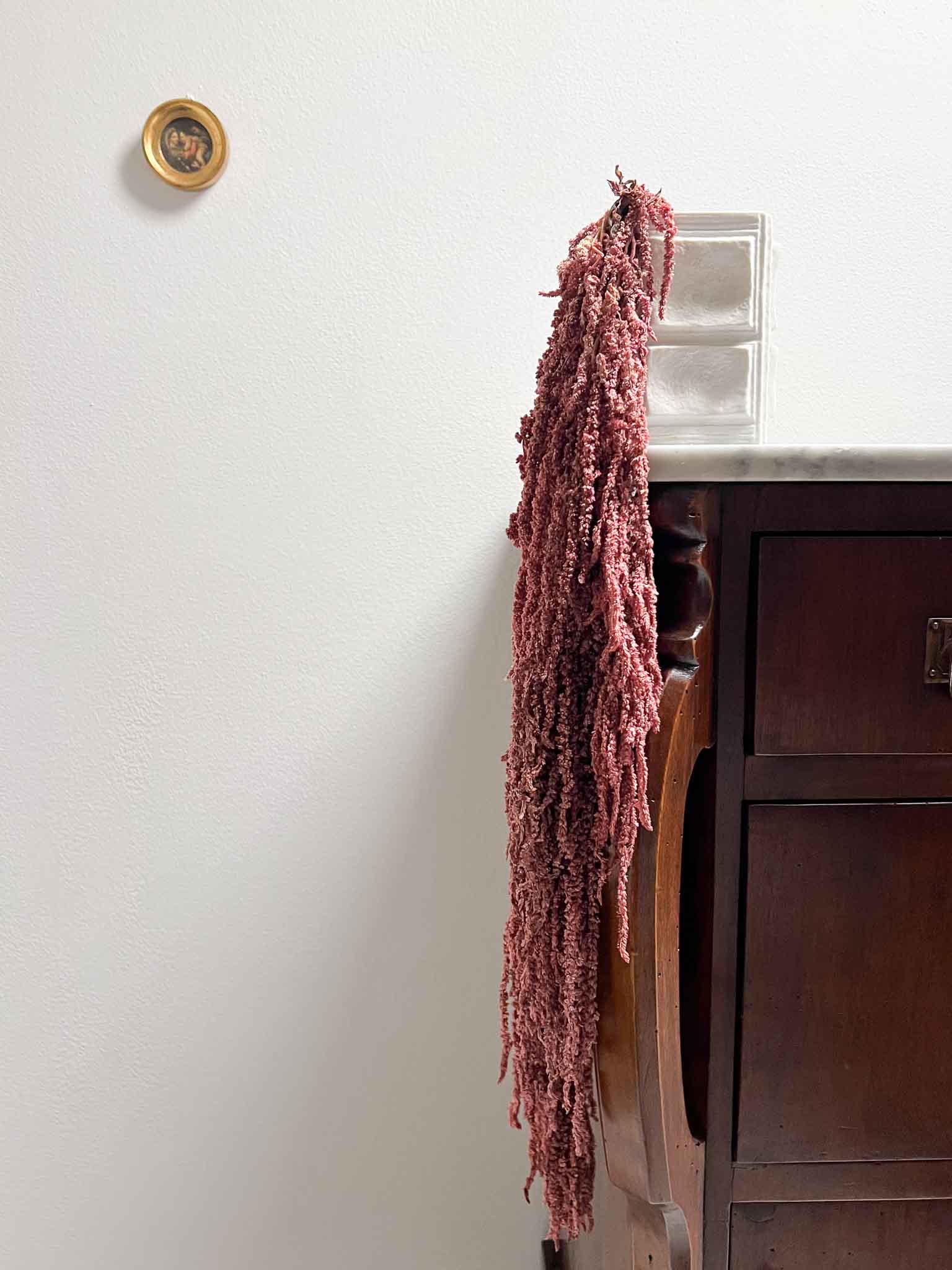 BICE » Amaranthus ricadente stabilizzato rosa antico - Bloomoon