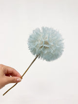 BIGHEL » stelo del Frutto del fiore del Tragopogon o "soffione" celeste chiaro - Bloomoon