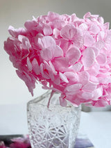 CYNDI » Premium Preserved Pink Hydrangeas Bouquet