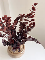BRUNELLO » Eucalipto cinerea stabilizzato marrone - Bloomoon