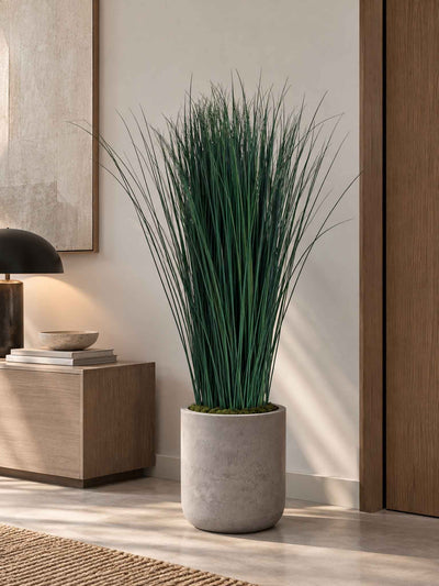 CALOGERO » pianta stabilizzata di bear grass verde H120cm - Bloomoon