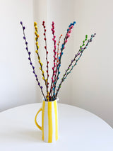 CARIOCA » Mazzo di Salice multicolor - Bloomoon