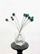 CARLA » Scabiosa Stellata stabilizzata azzurra - Bloomoon