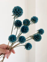 CARLA » Scabiosa Stellata stabilizzata azzurra - Bloomoon