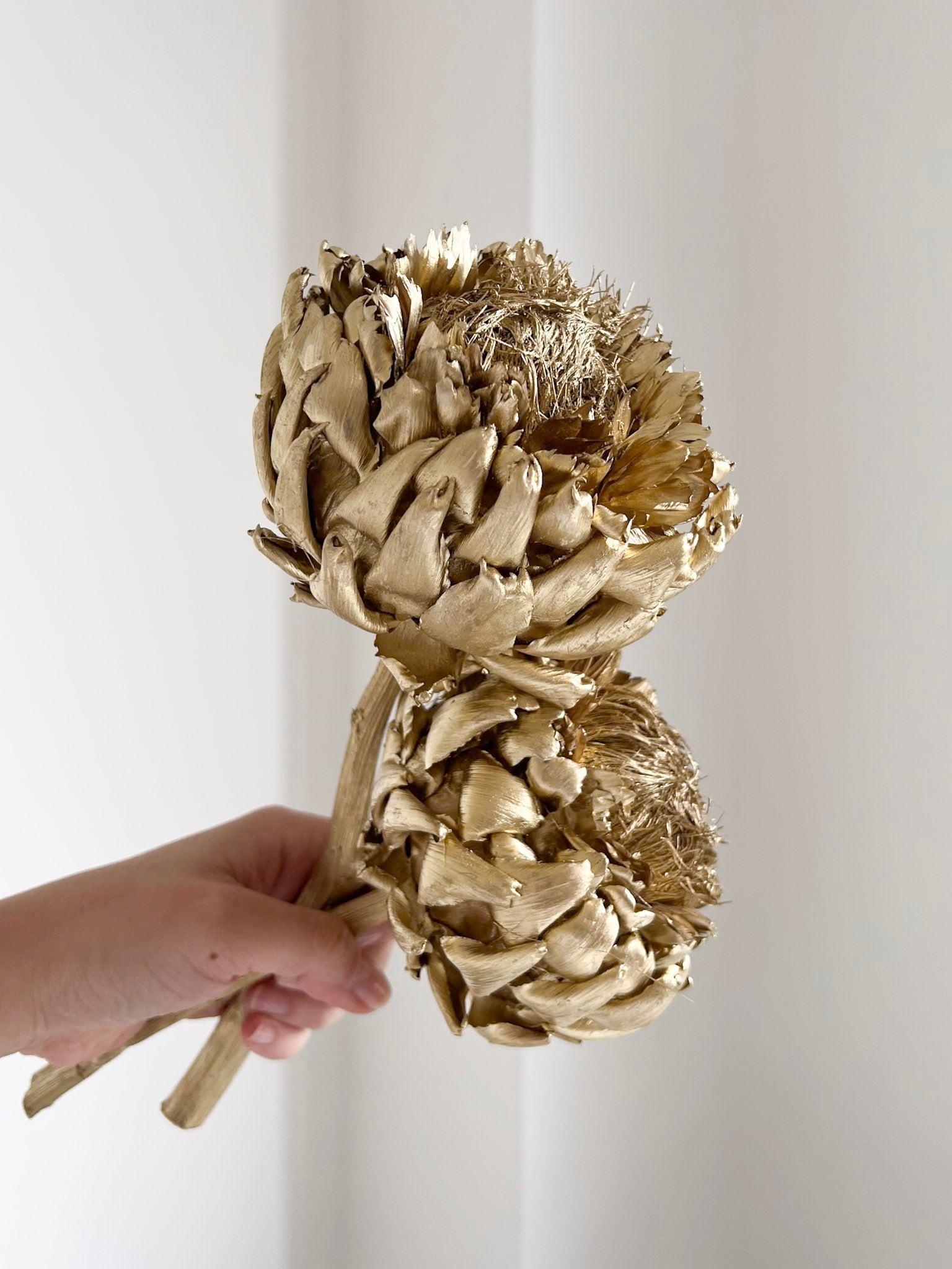 CARMELO » 2 Carciofi grandi essiccati verniciati colore oro - Bloomoon