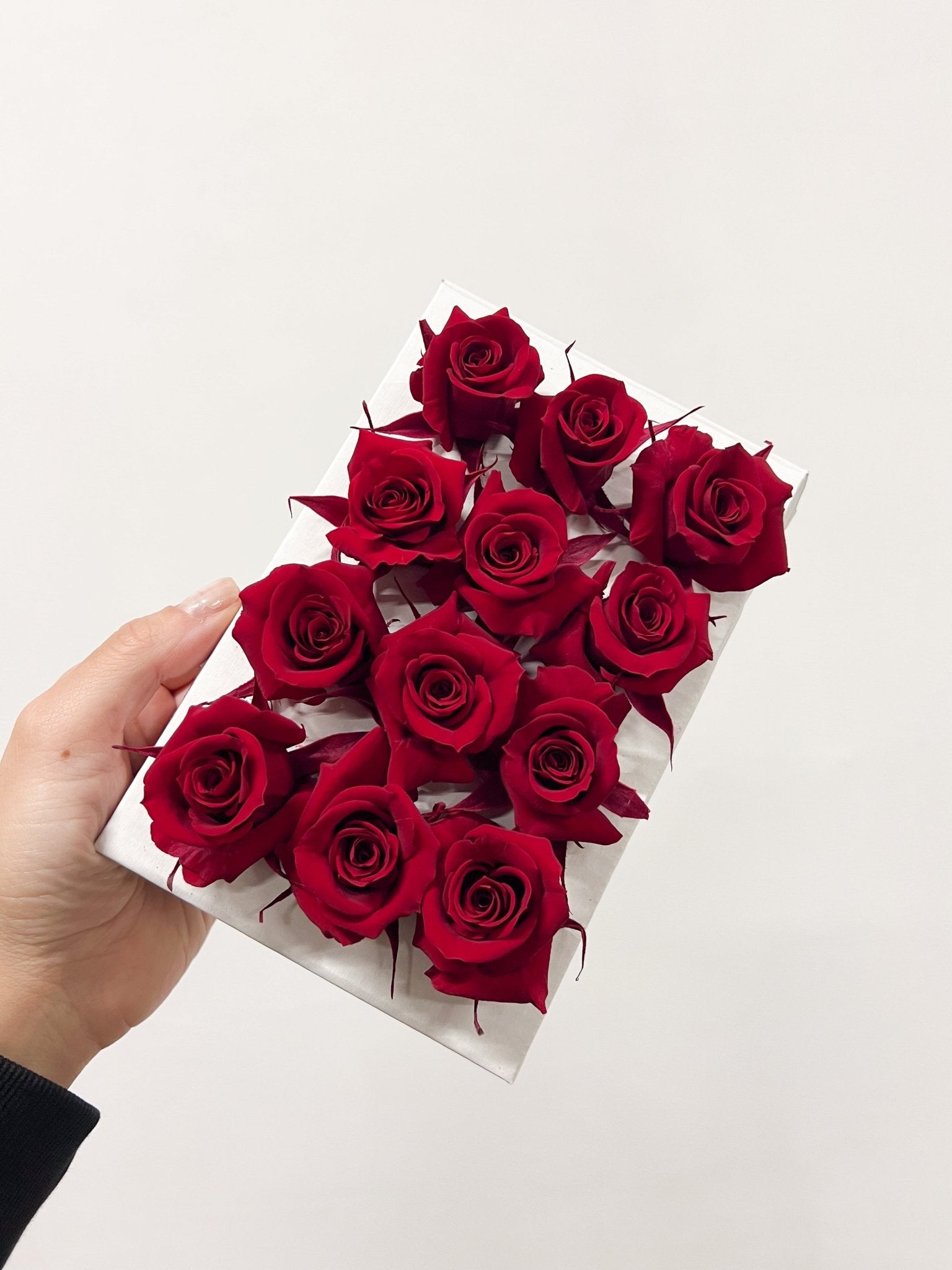 CECILIA » Box da 12 mini fiori di Rosa rosso scuro diametro 3cm - Bloomoon