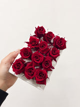 CECILIA » Box da 12 mini fiori di Rosa rosso scuro diametro 3cm - Bloomoon