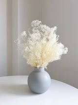 CHIARA » Mazzo di Gypsophila stabilizzata mini bianca - Bloomoon