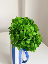 CLEOFE » Ortensia stabilizzata premium verde prato - Bloomoon