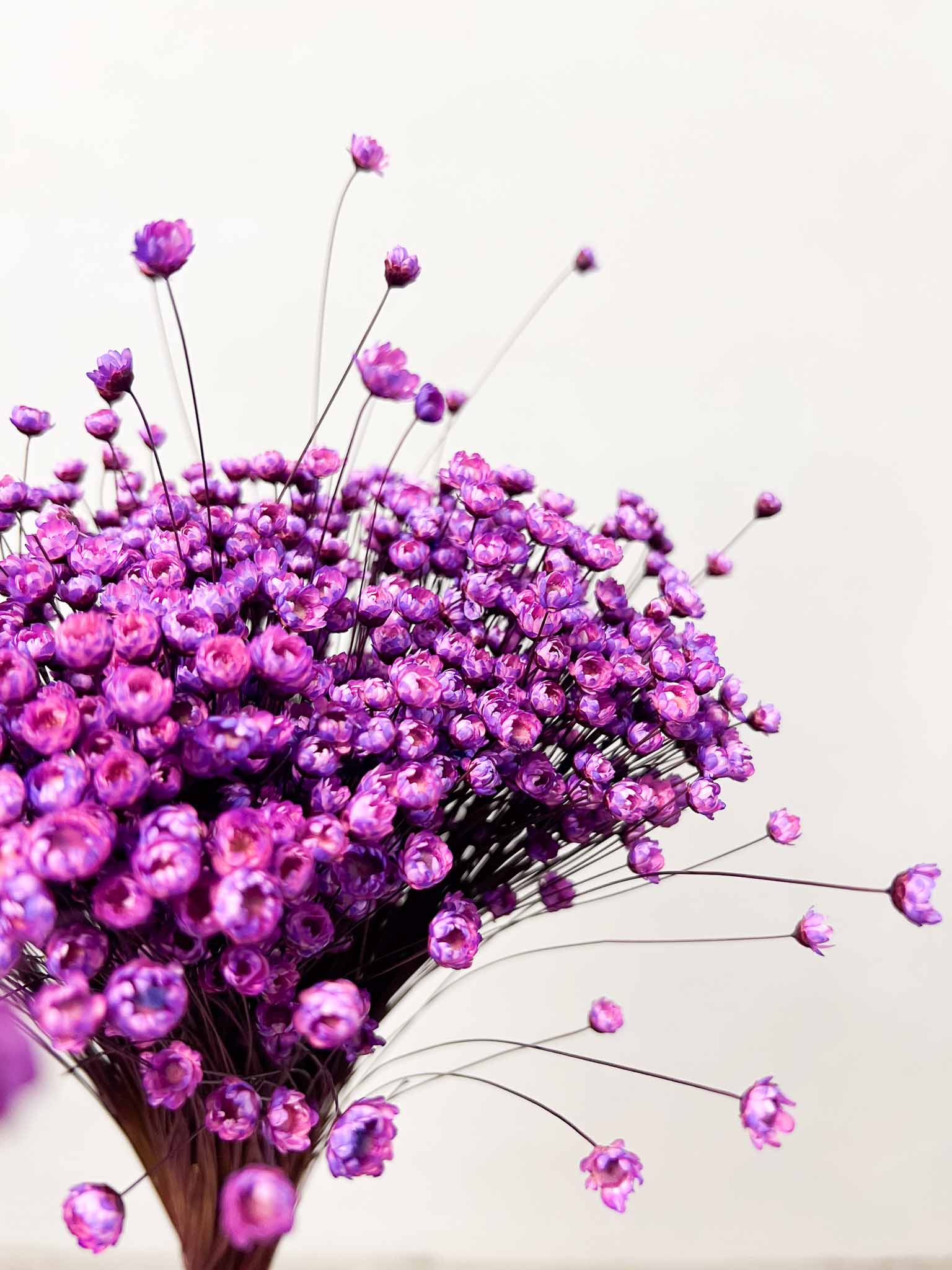 CORA » Mazzo di fiori di Glixia viola e rosa - Bloomoon