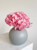 CYNDI » Ortensia stabilizzata premium rosa - Bloomoon