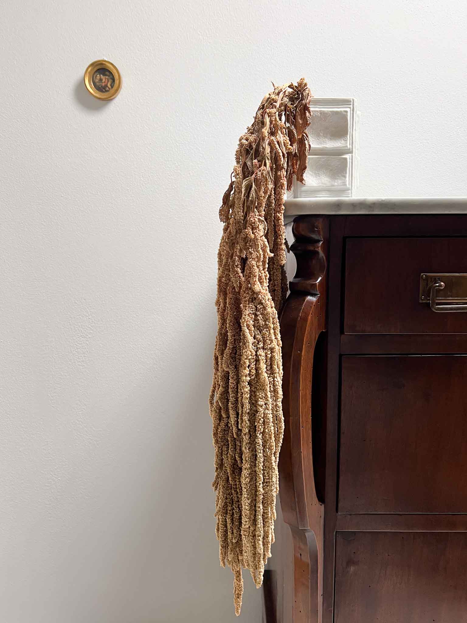 DAVIDE » Amaranthus ricadente stabilizzato marrone chiaro - Bloomoon