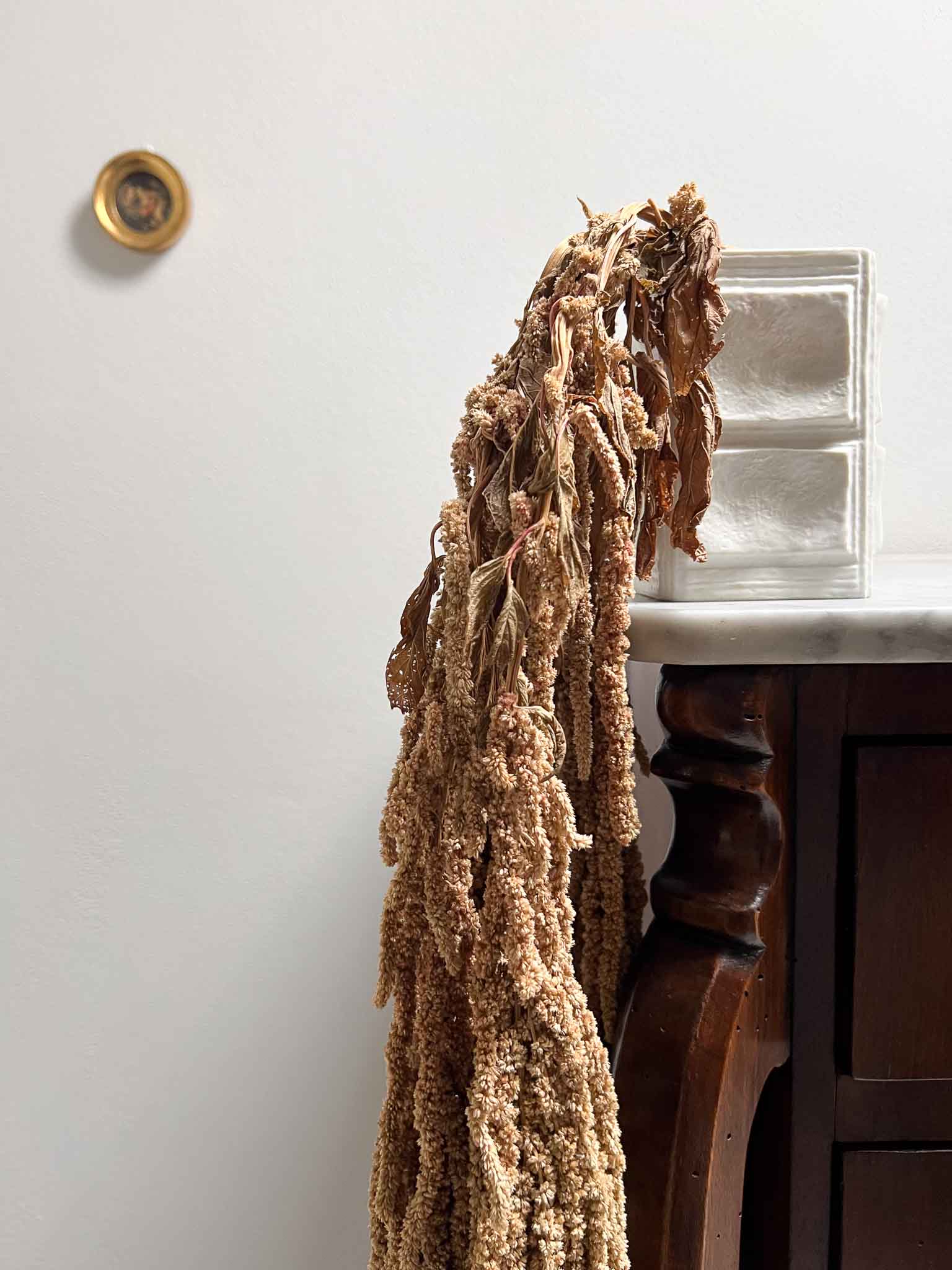 DAVIDE » Amaranthus ricadente stabilizzato marrone chiaro - Bloomoon