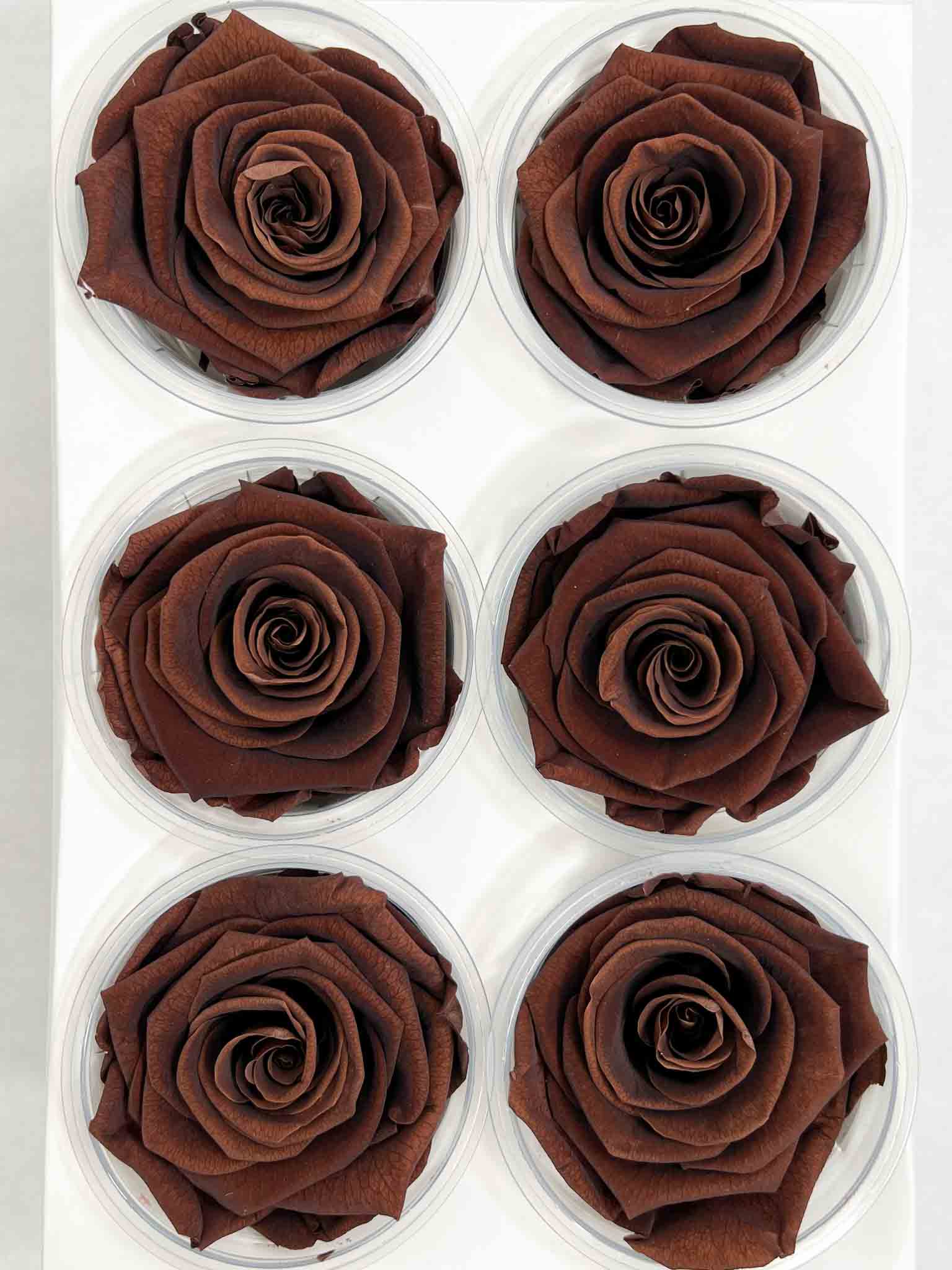 DEAN » Box da 6 fiori di Rosa cioccolato diametro 6,5cm standard - Bloomoon