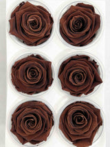 DEAN » Box da 6 fiori di Rosa cioccolato diametro 6,5cm standard - Bloomoon