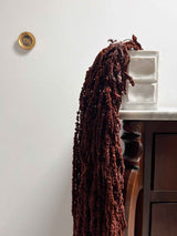 DEMETRIO » Amaranthus ricadente stabilizzato marrone - Bloomoon