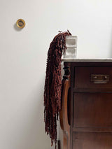 DEMETRIO » Amaranthus ricadente stabilizzato marrone - Bloomoon