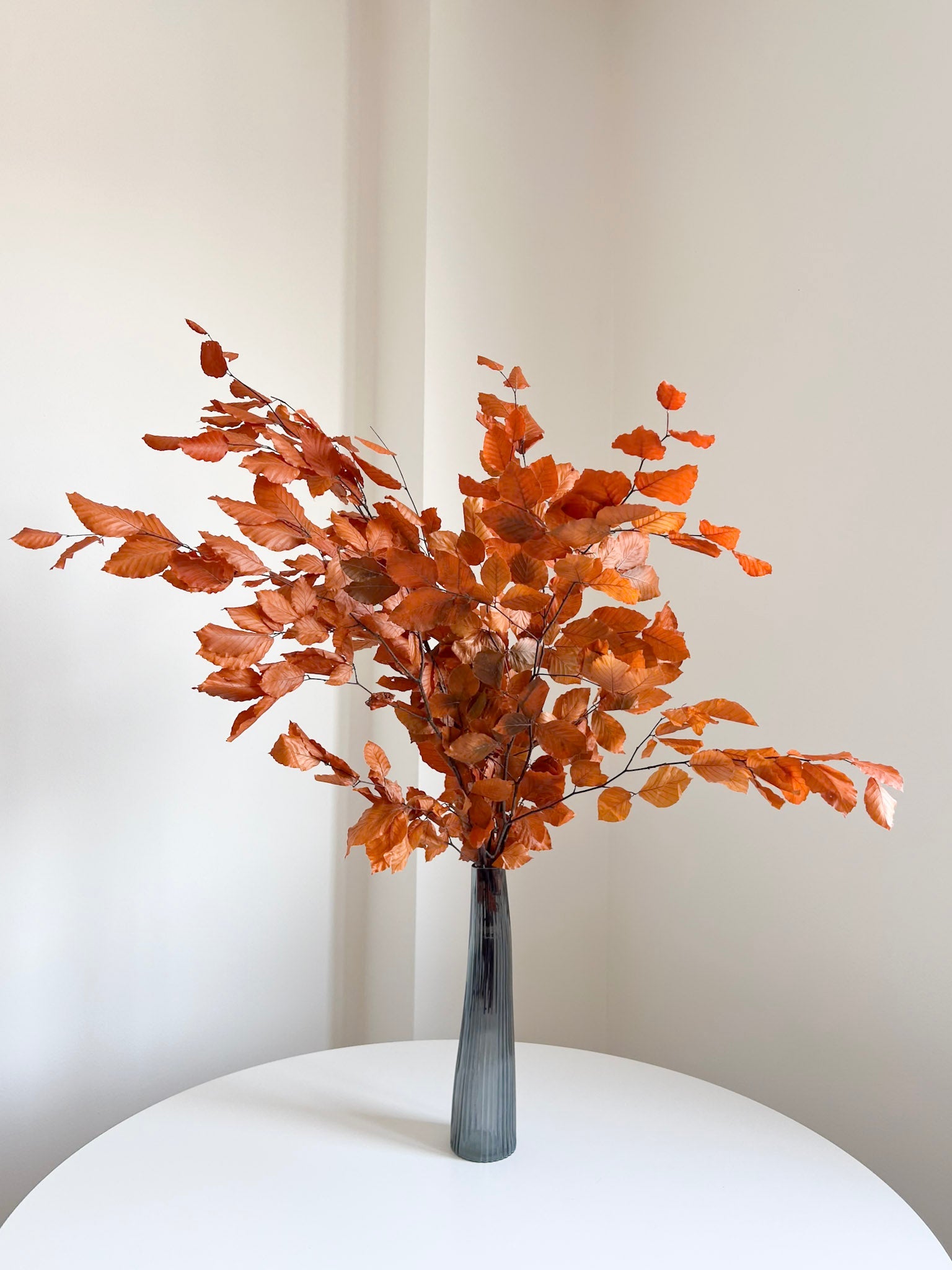 DOLLY » Mazzo di Faggio stabilizzato arancione - Bloomoon