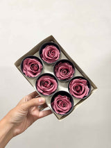 DOLORES » Box da 6 fiori di Rosa rosa antico diametro 6,5cm standard - Bloomoon