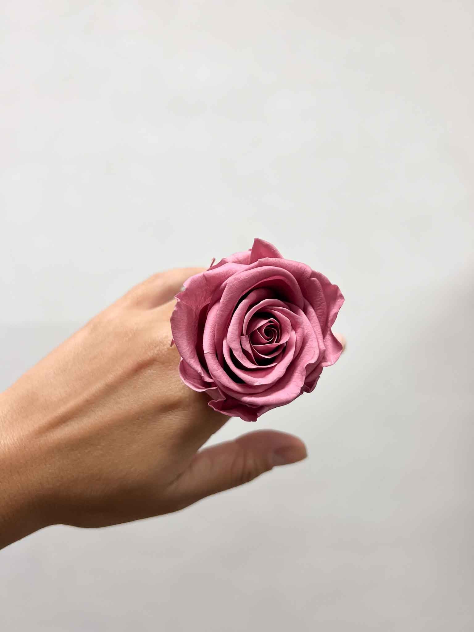DOLORES » Box da 6 fiori di Rosa rosa antico diametro 6,5cm standard - Bloomoon