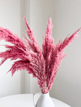 DOMITILLA » Pampas piccola rosa H70cm - Bloomoon