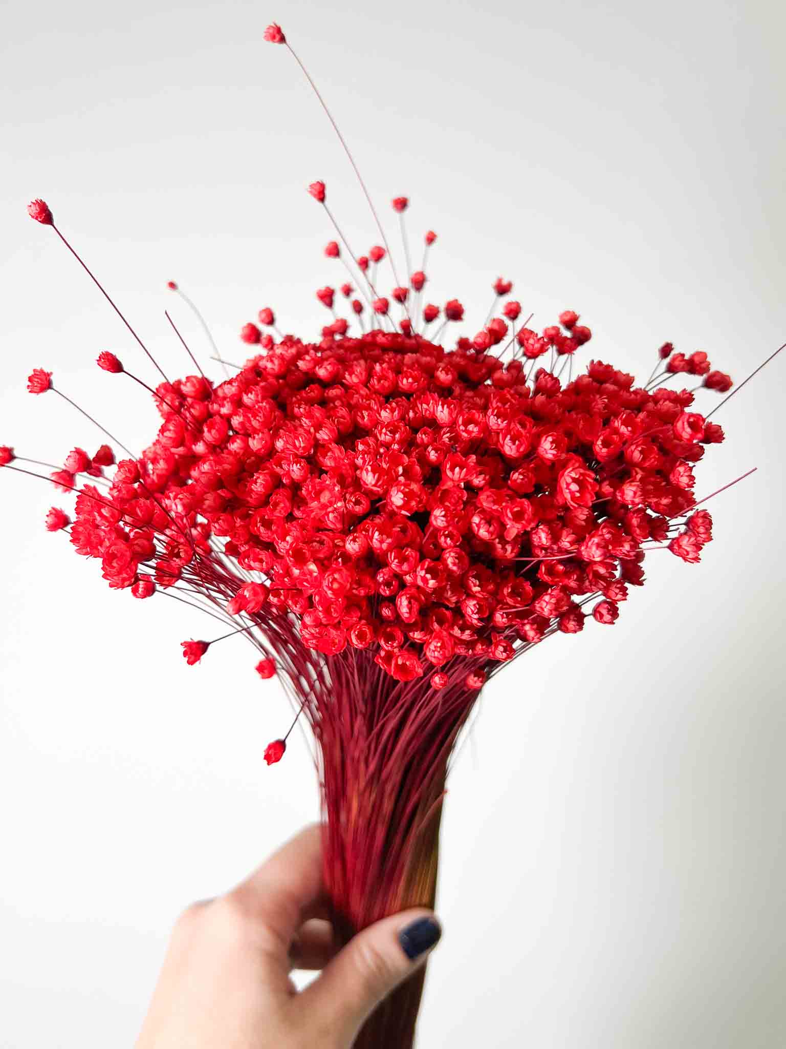 DONATA » Mazzo di fiori di Glixia rosso - Bloomoon