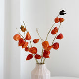DONATELLA » Mazzo di Physalis naturale - Bloomoon