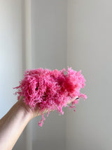 DORA » Muschio nordico stabilizzato rosa 500gr - Bloomoon