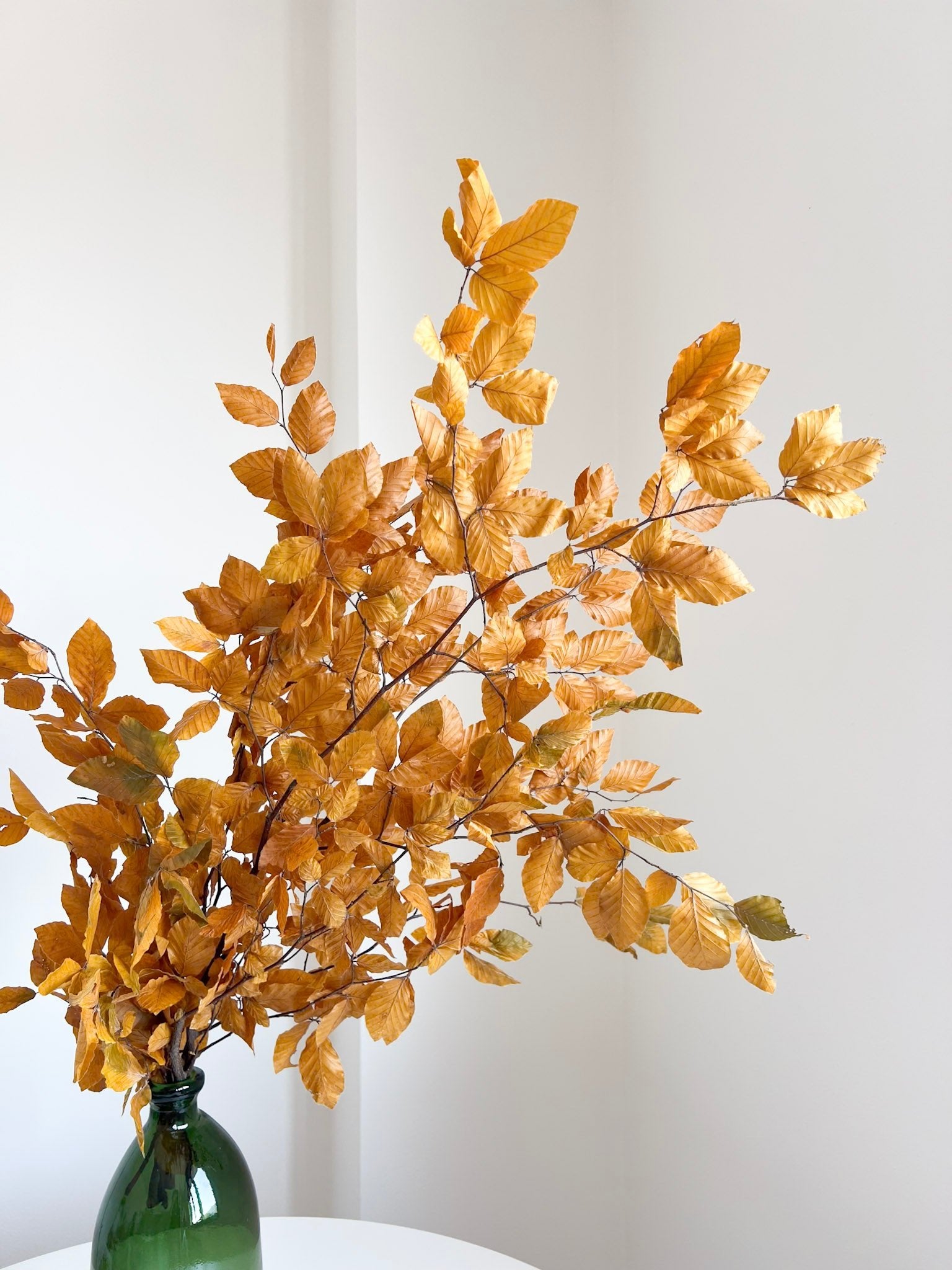 DORIANA » Mazzo di Faggio stabilizzato giallo - Bloomoon