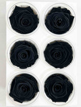 DRAGO » Box da 6 fiori di Rosa nero diametro 6,5cm standard - Bloomoon