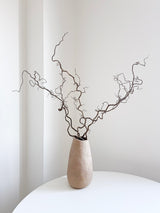 EDGAR » Corylus naturale essiccato 5 steli - Bloomoon