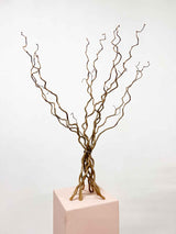 EDGAR » Corylus naturale essiccato 5 steli - Bloomoon