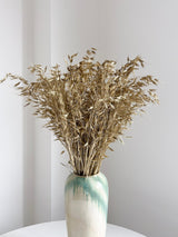 ELIOR » Mazzo di Avena selvatica essiccata oro - Bloomoon