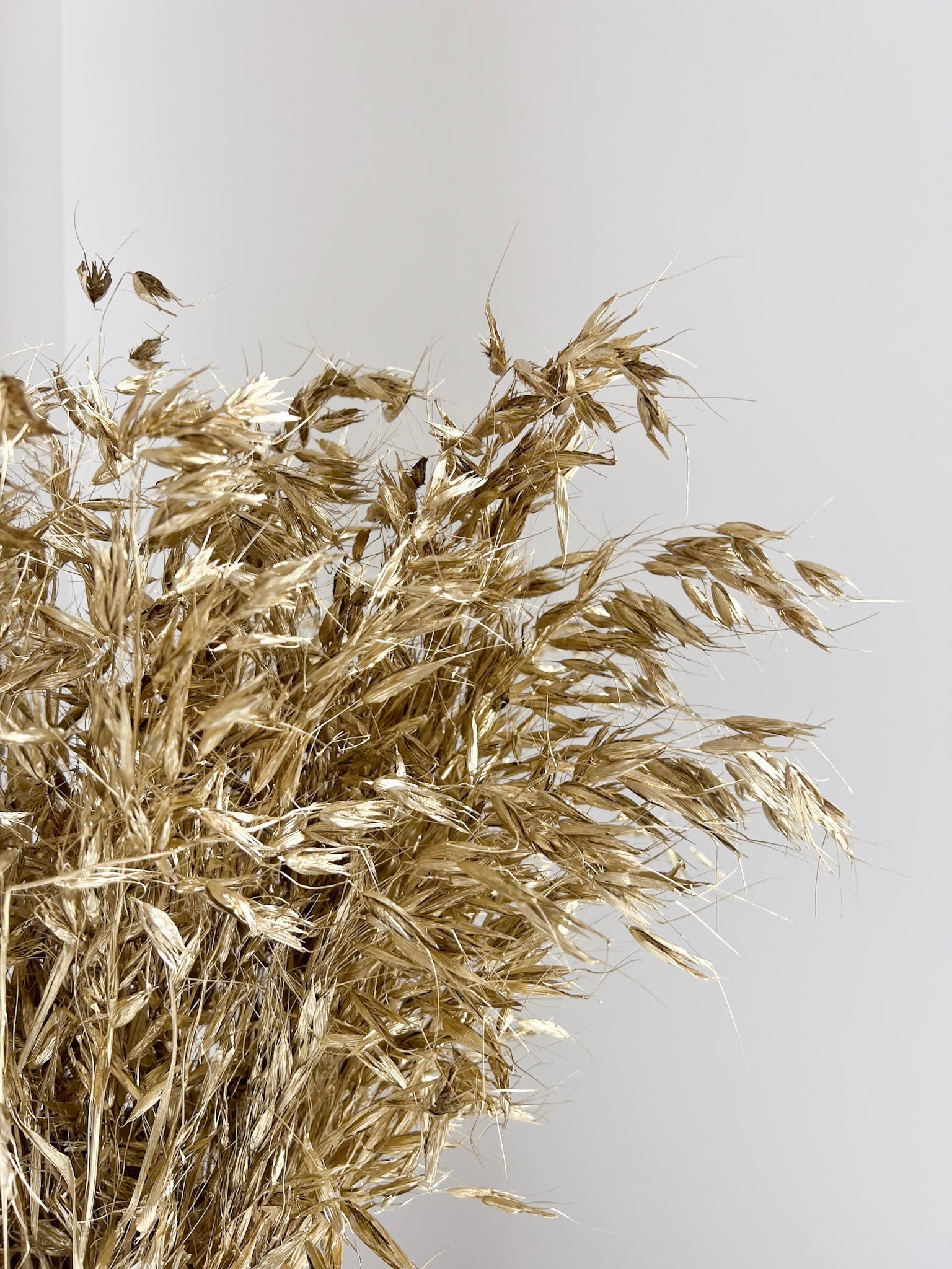ELIOR » Mazzo di Avena selvatica essiccata oro - Bloomoon